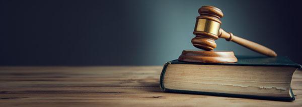 A gavel sits on top of a book.