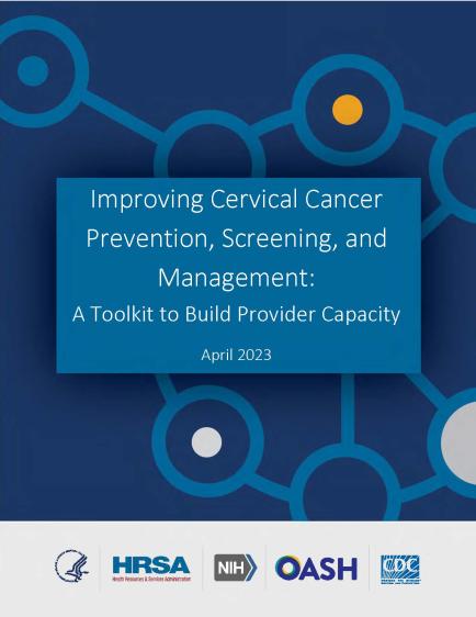 Screenshot of the Toolkit to Build Provider Capacity